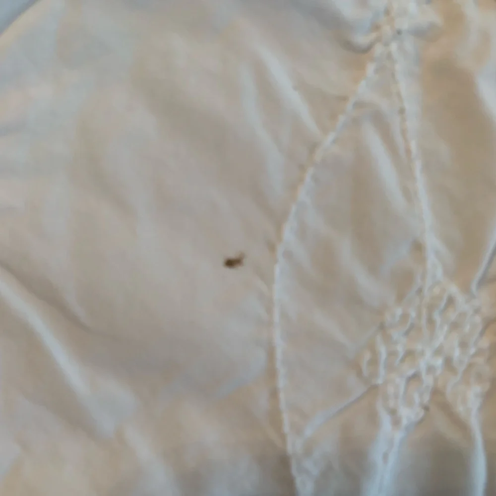 Simply Shabby Chic Embroidered Duvet Cover
